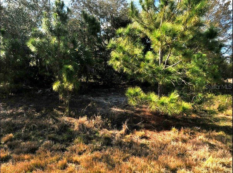 HOPE CT, NORTH PORT, FL, 34288