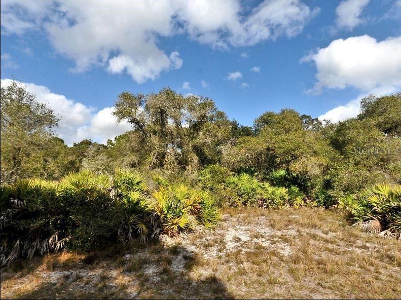 CODY CIR, NORTH PORT, FL, 34291