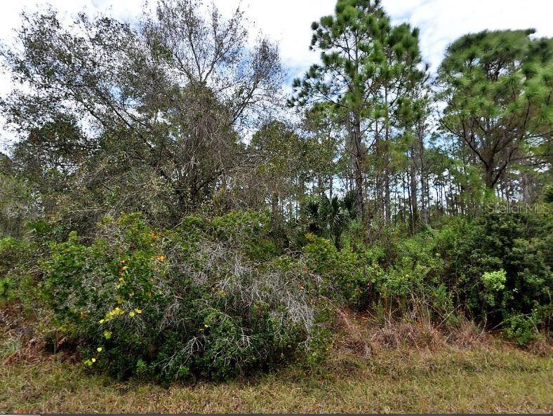 SILVERLEAF RD, NORTH PORT, FL, 34288