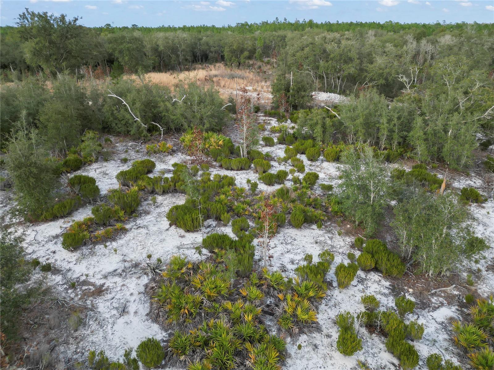 NE 109TH ST, ARCHER, FL, 32618