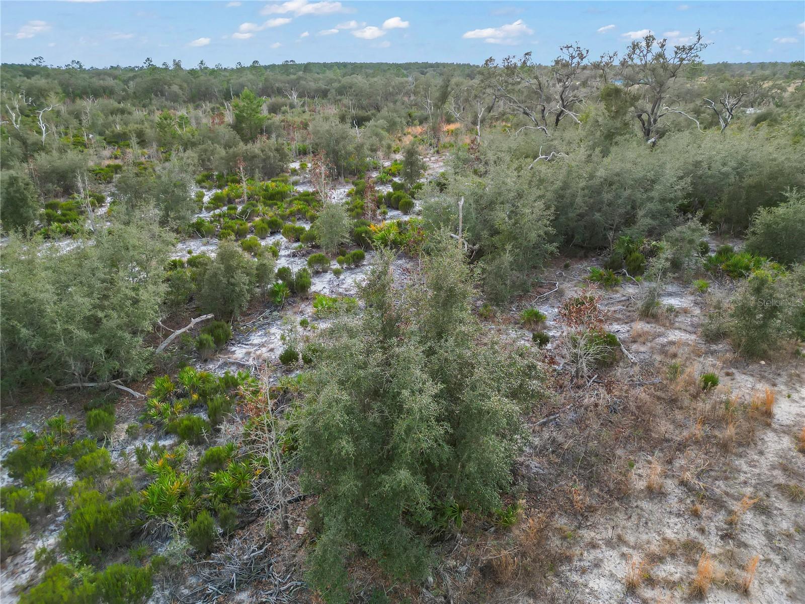 NE 109TH ST, ARCHER, FL, 32618