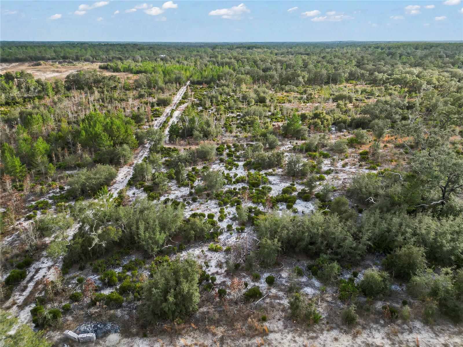 NE 109TH ST, ARCHER, FL, 32618