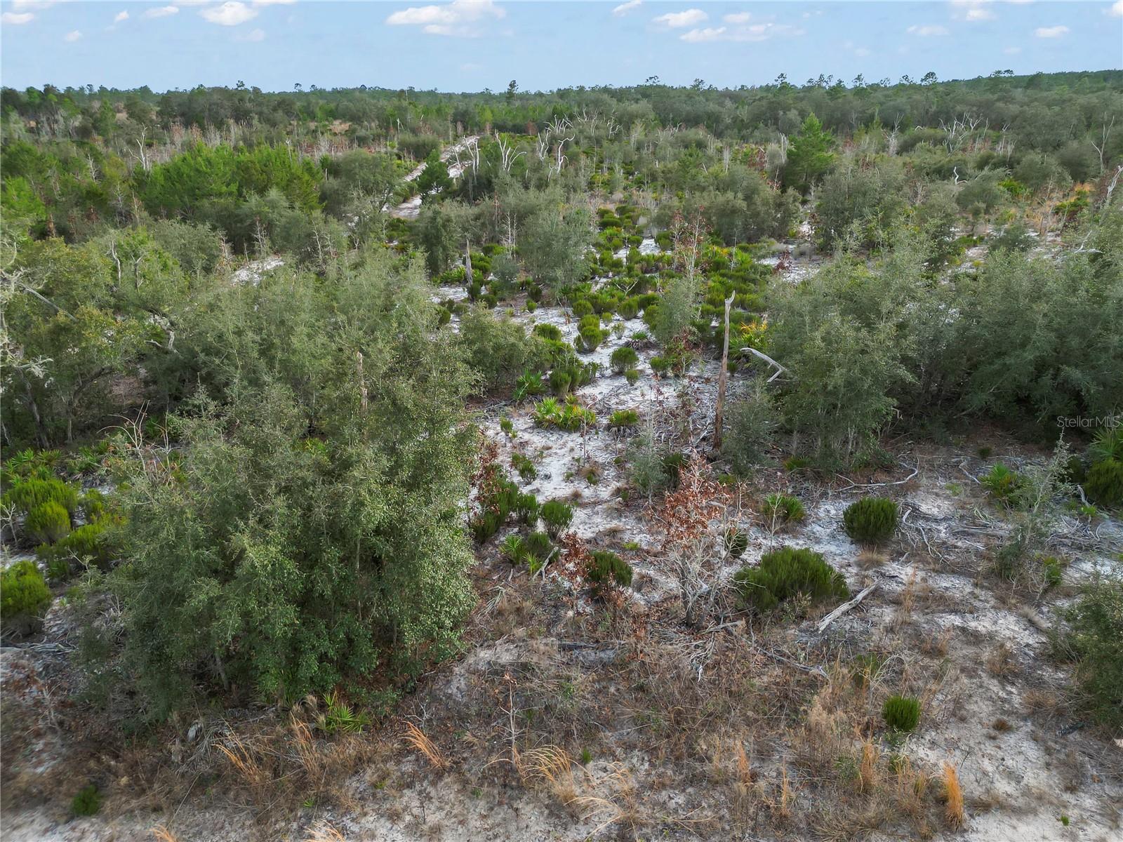 NE 109TH ST, ARCHER, FL, 32618