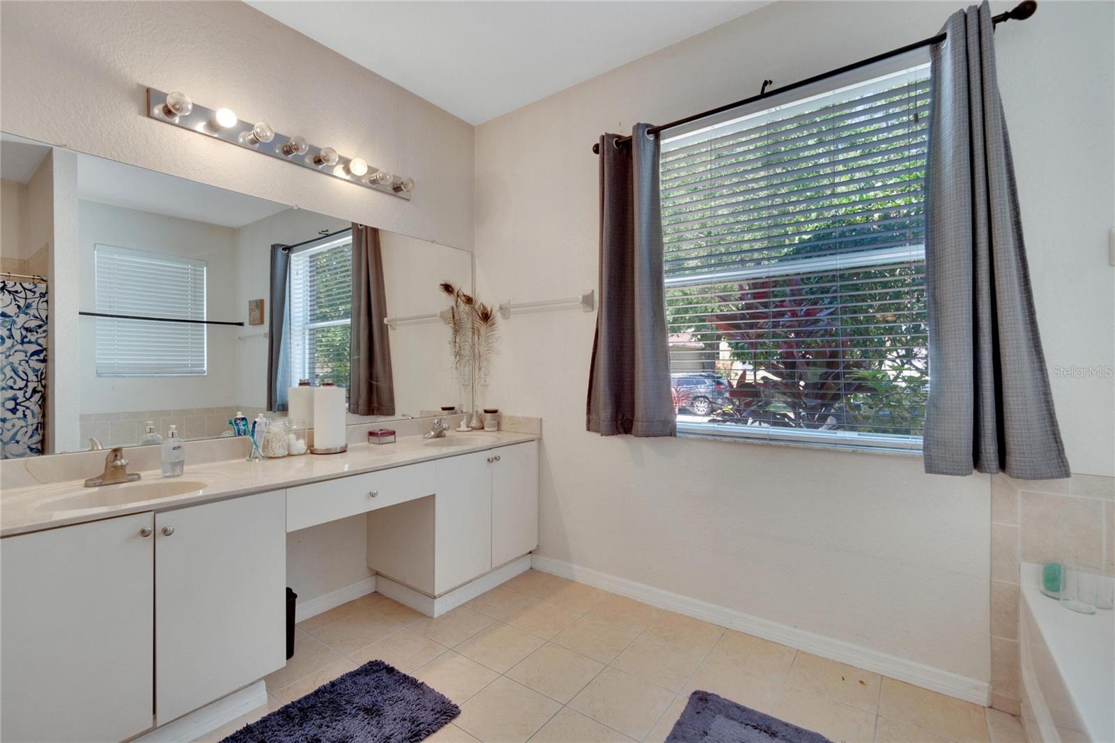 11412 BRIDGE PINE DR, RIVERVIEW, FL, 33569