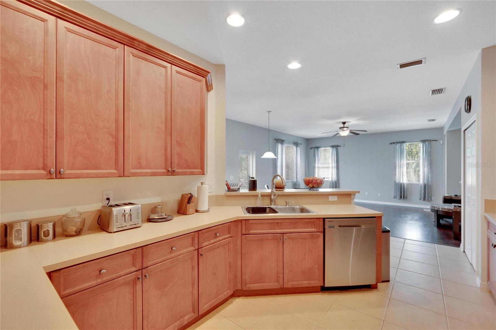 11412 BRIDGE PINE DR, RIVERVIEW, FL, 33569
