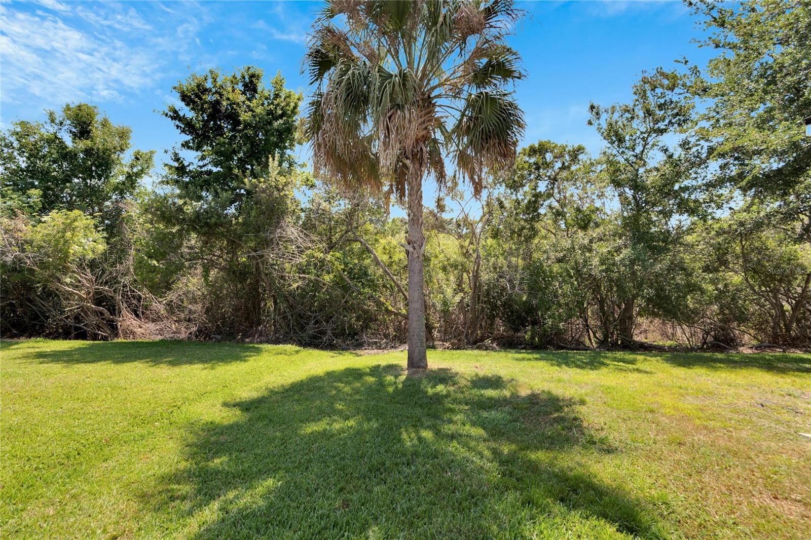 11412 BRIDGE PINE DR, RIVERVIEW, FL, 33569