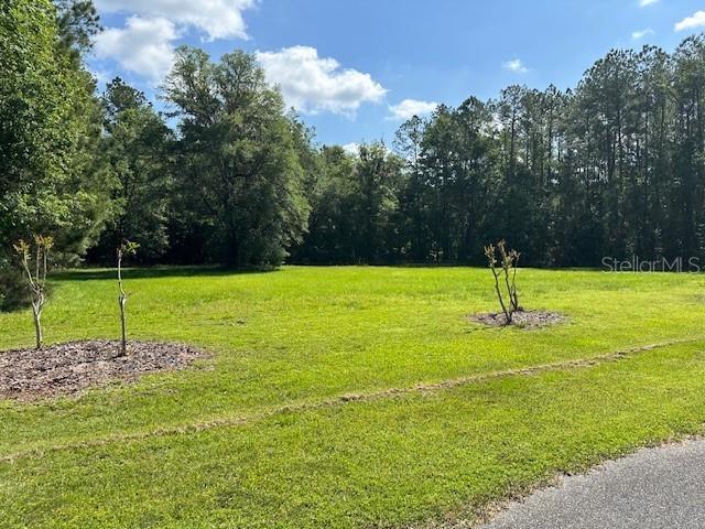 Parcel 1 CR-18A, WORTHINGTON SPRINGS, FL, 32697