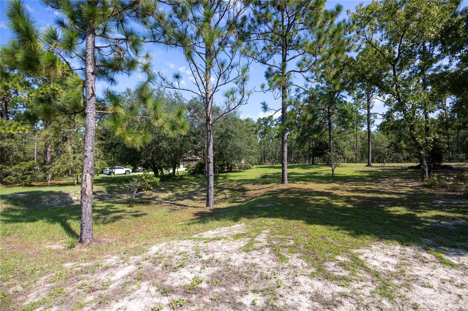 118 MELROSE LANDING BLVD, HAWTHORNE, FL, 32640