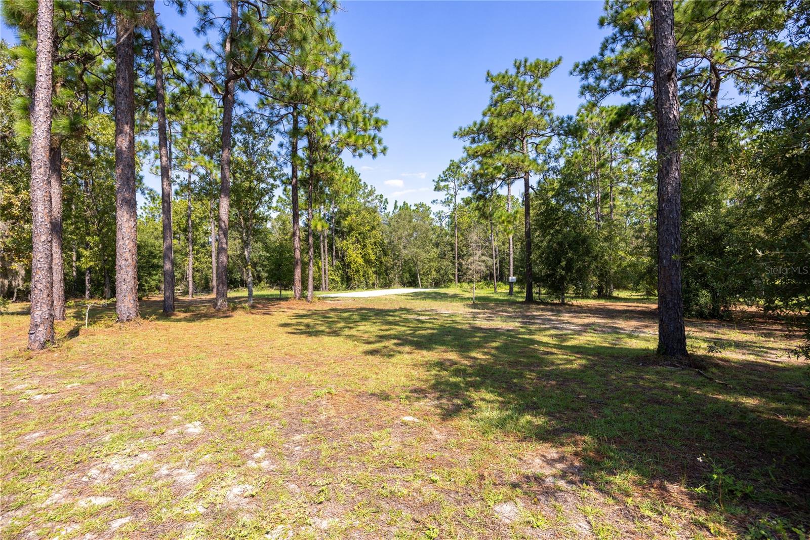 118 MELROSE LANDING BLVD, HAWTHORNE, FL, 32640
