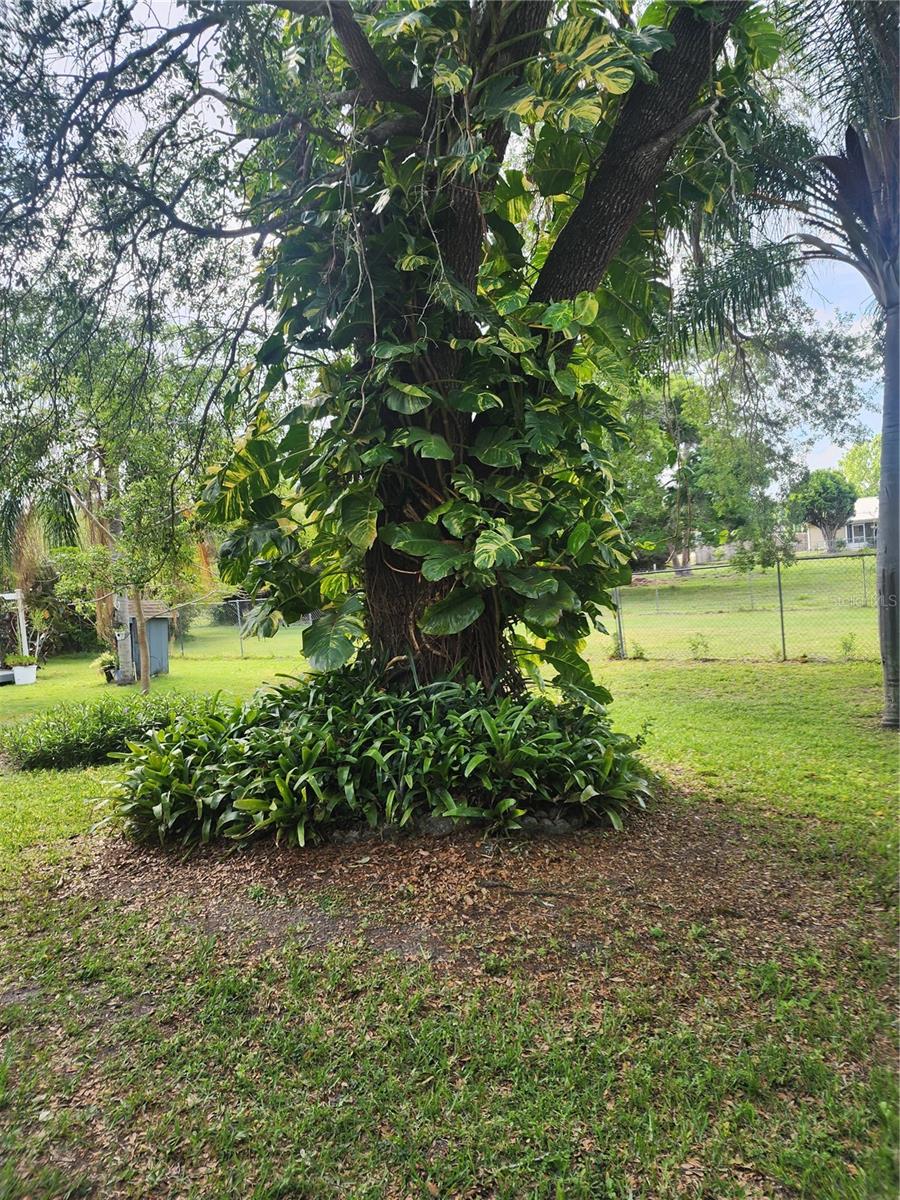 2270 OLD HICKORY TREE RD, ST CLOUD, FL, 34772