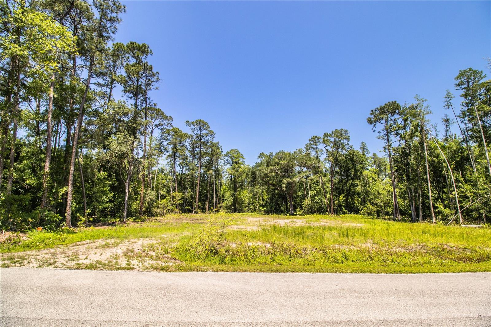 0 PIONEER DR, LAKELAND, FL, 33809