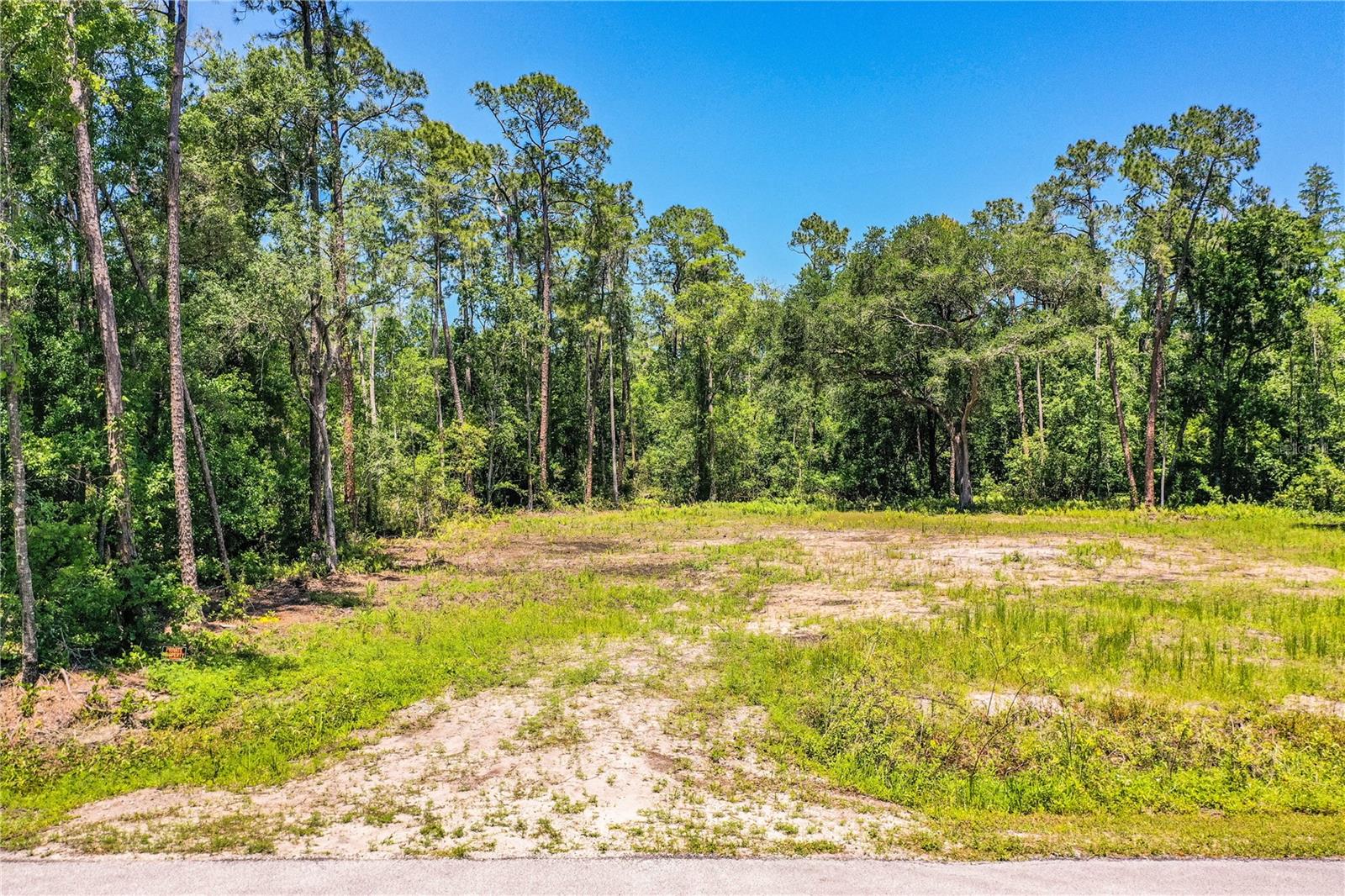 0 PIONEER DR, LAKELAND, FL, 33809