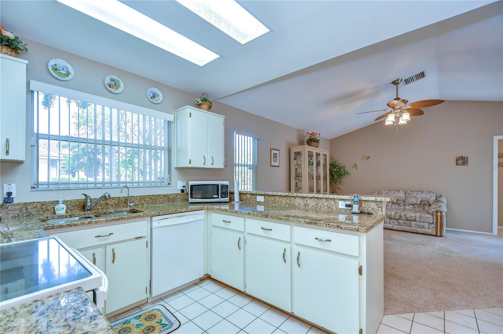 1153 CLIPPERS WAY, TARPON SPRINGS, FL, 34689