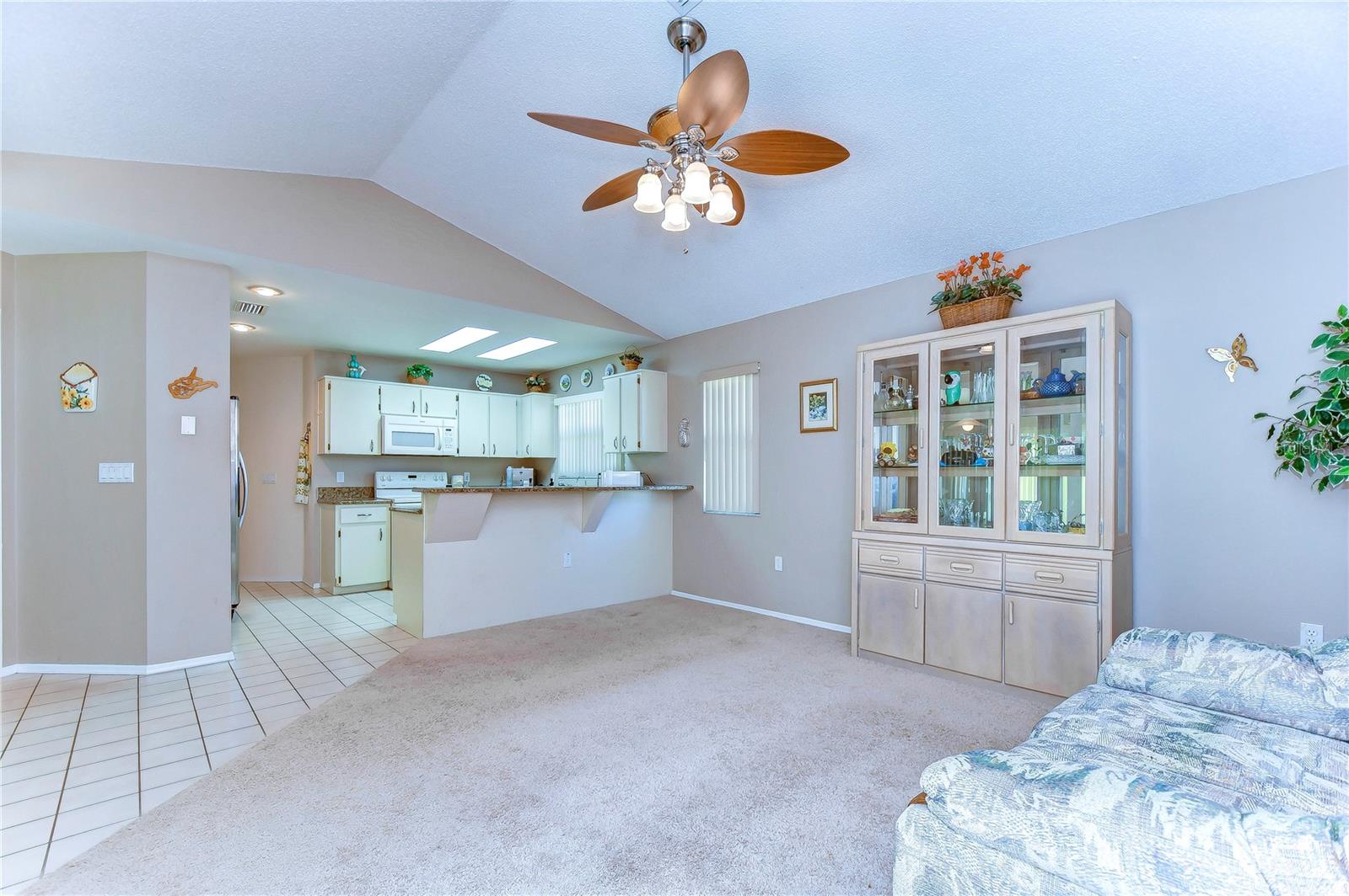 1153 CLIPPERS WAY, TARPON SPRINGS, FL, 34689