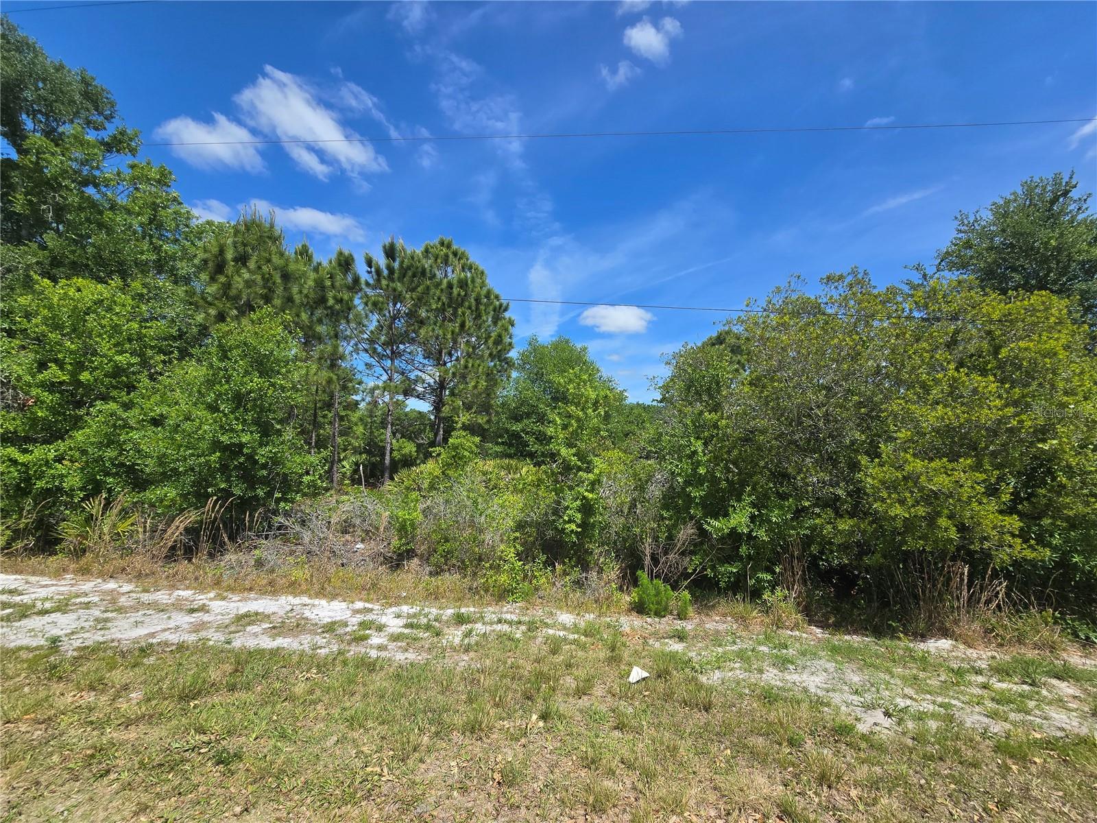 OLENO AVE, LAKE WALES, FL, 33859