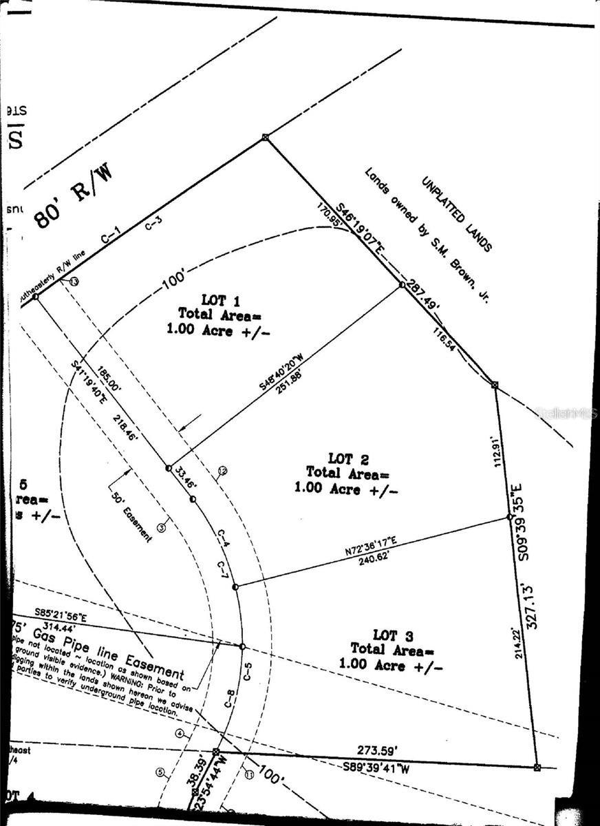 Parcel 2 SW 128TH RD, WORTHINGTON SPRINGS, FL, 32697