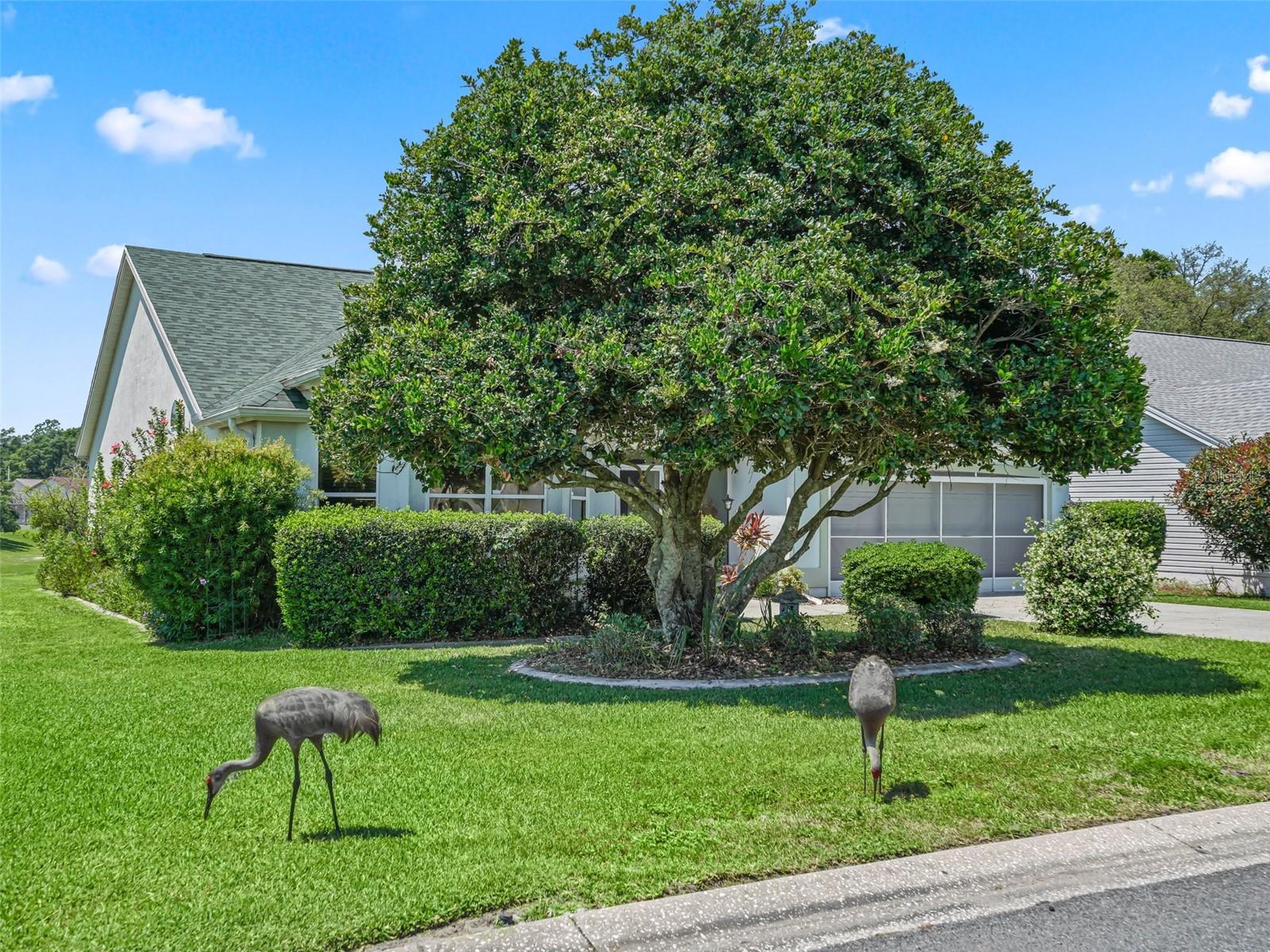 304 GONZALES PL, THE VILLAGES, FL, 32159