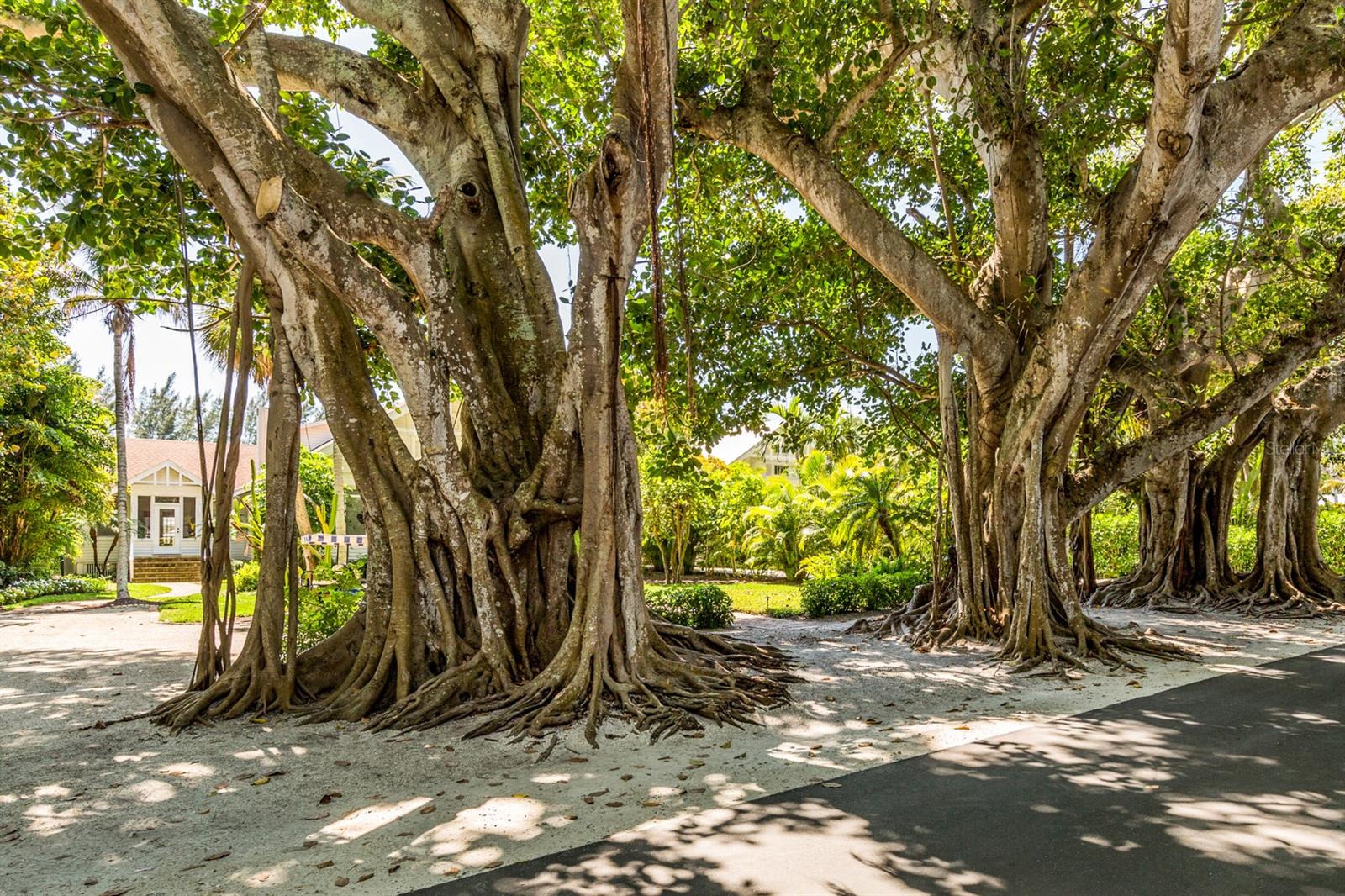 14462 FORT WORTH CIR, PORT CHARLOTTE, FL, 33981