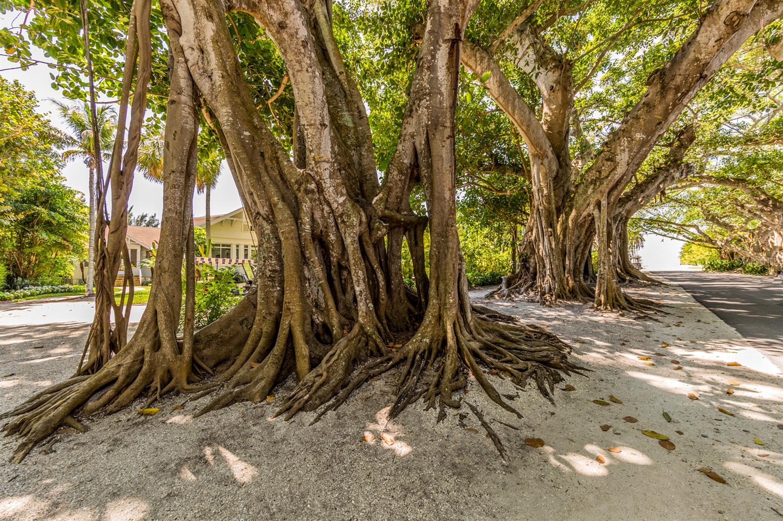 14462 FORT WORTH CIR, PORT CHARLOTTE, FL, 33981