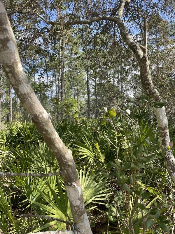 32 FYFE AVE, DEBARY, FL, 32713