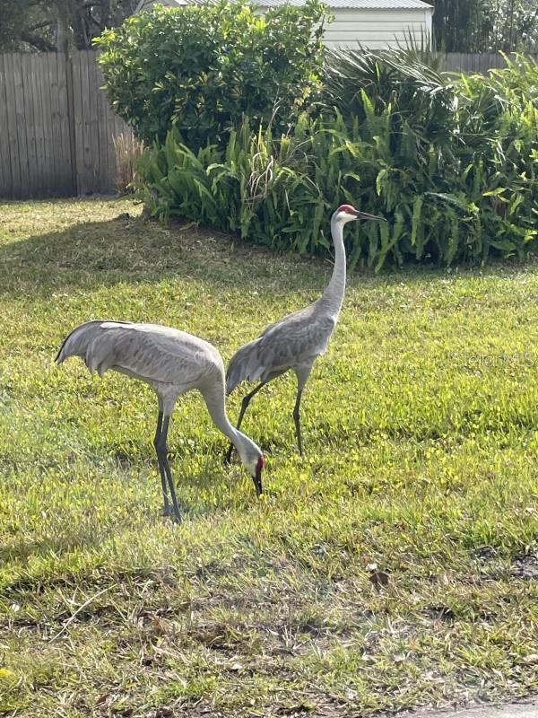 32 FYFE AVE, DEBARY, FL, 32713