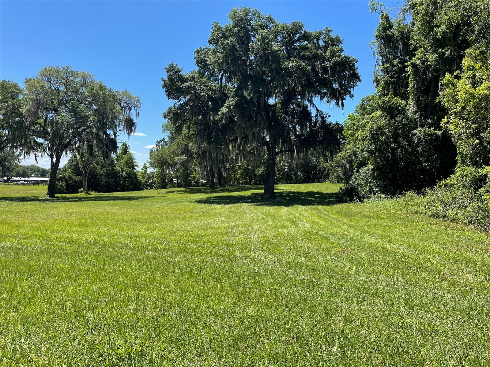 OM677279 Property Photo