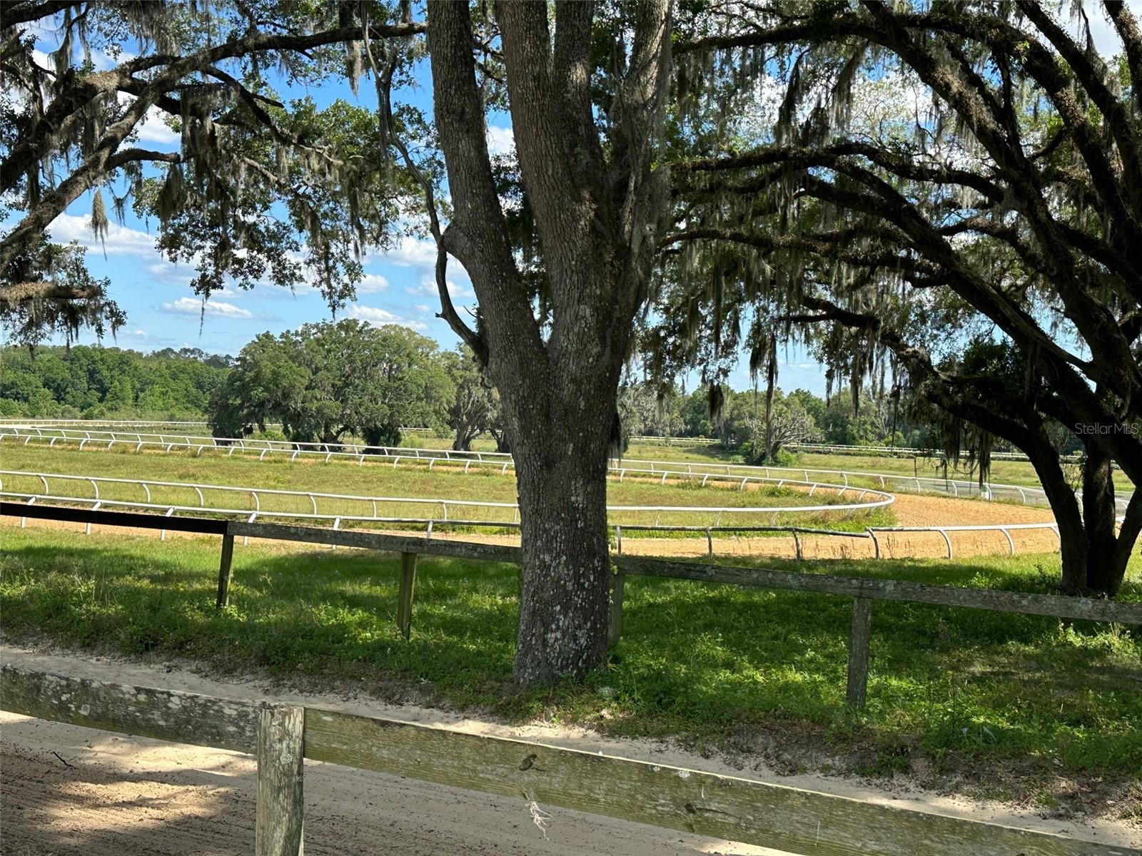 OM677279 Property Photo