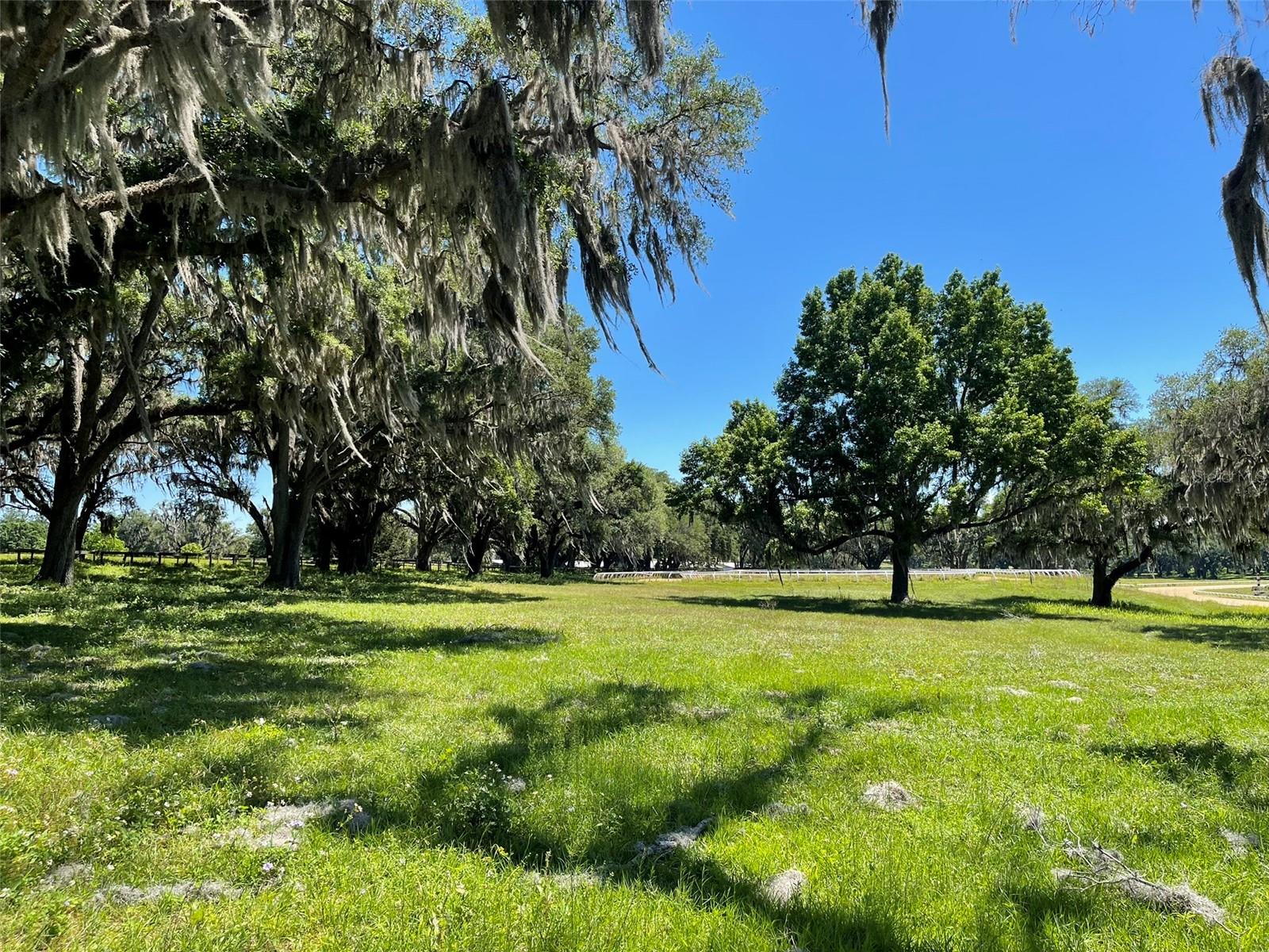 OM677279 Property Photo