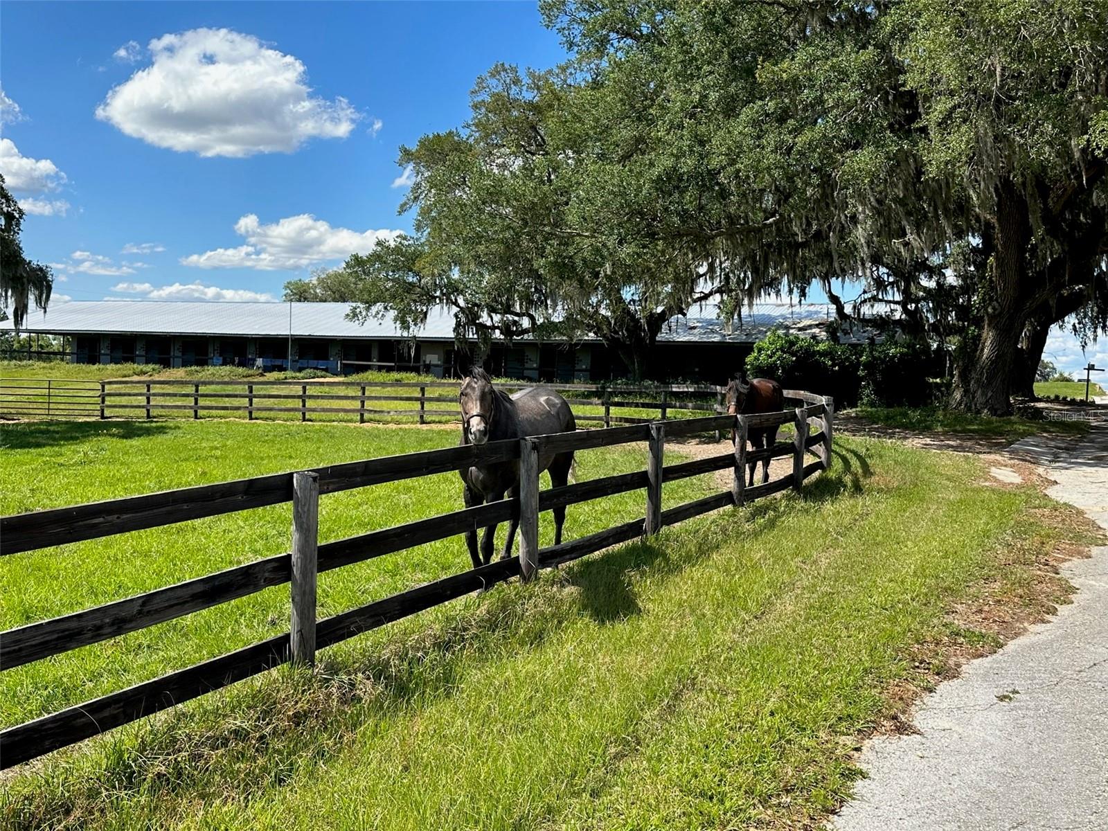 OM677279 Property Photo