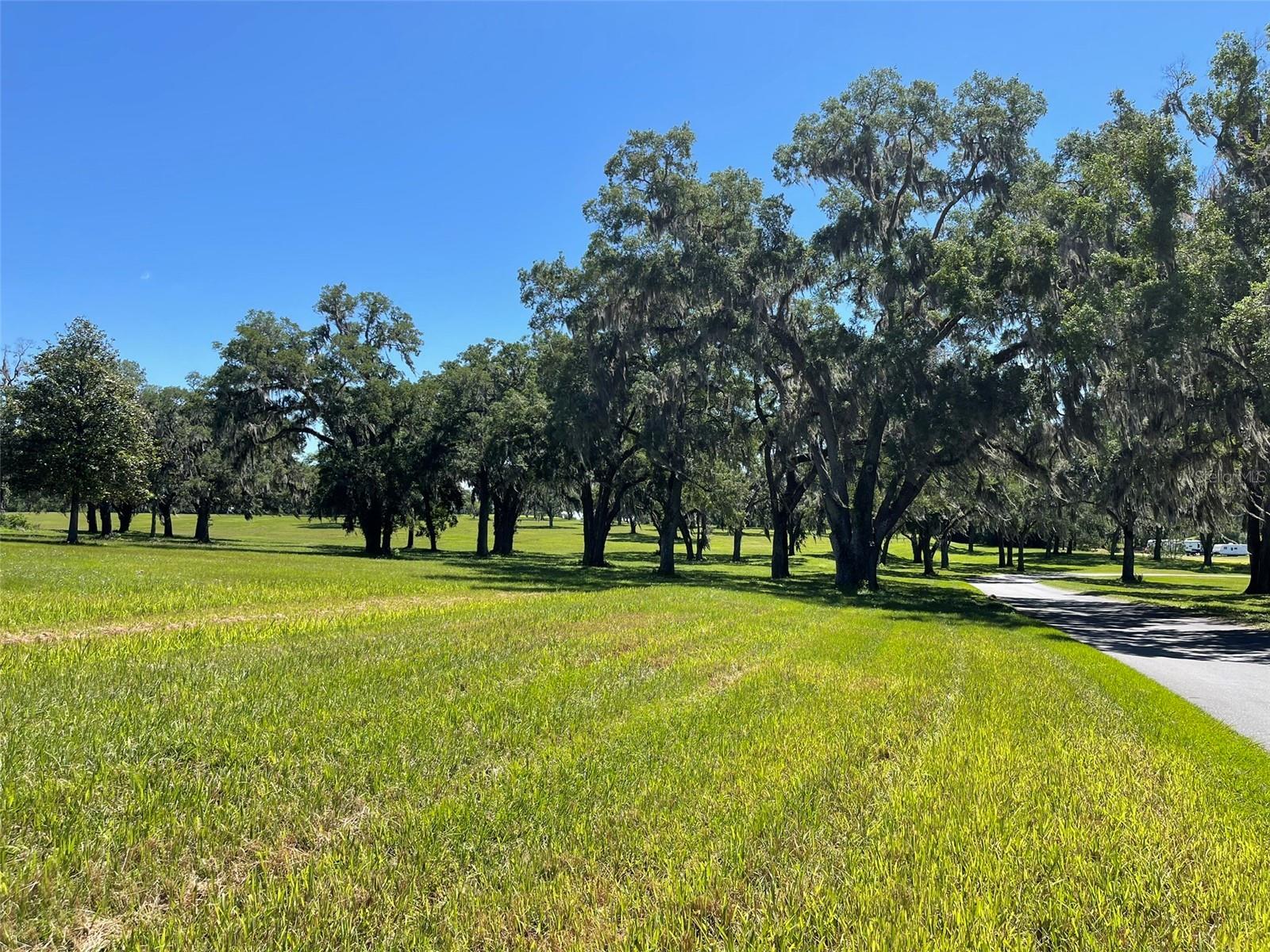 OM677279 Property Photo