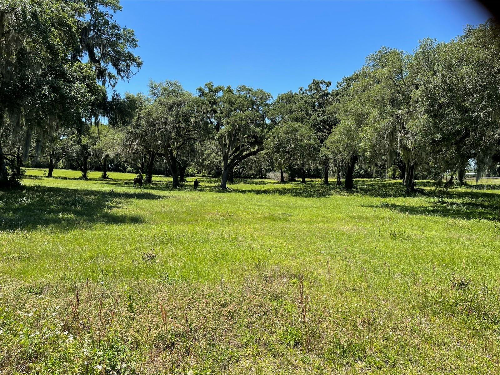 OM677279 Property Photo