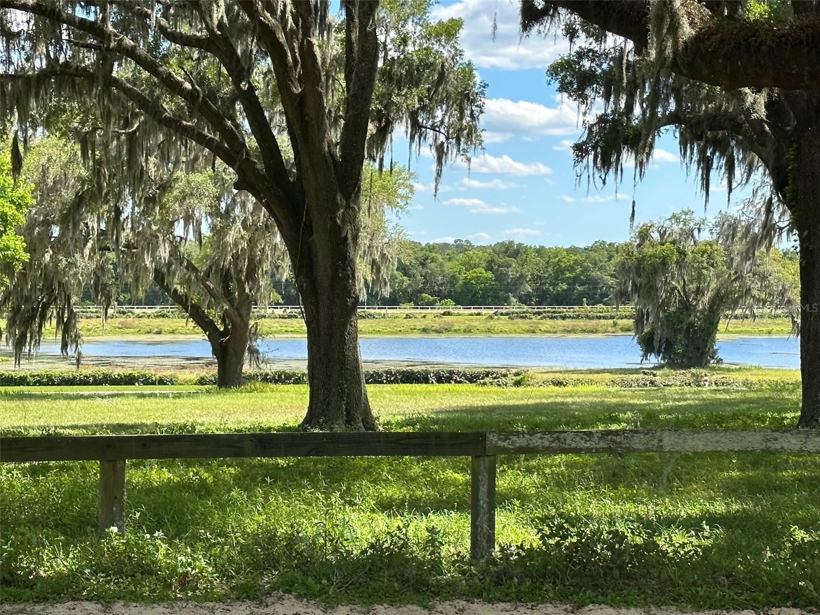 OM677279 Property Photo