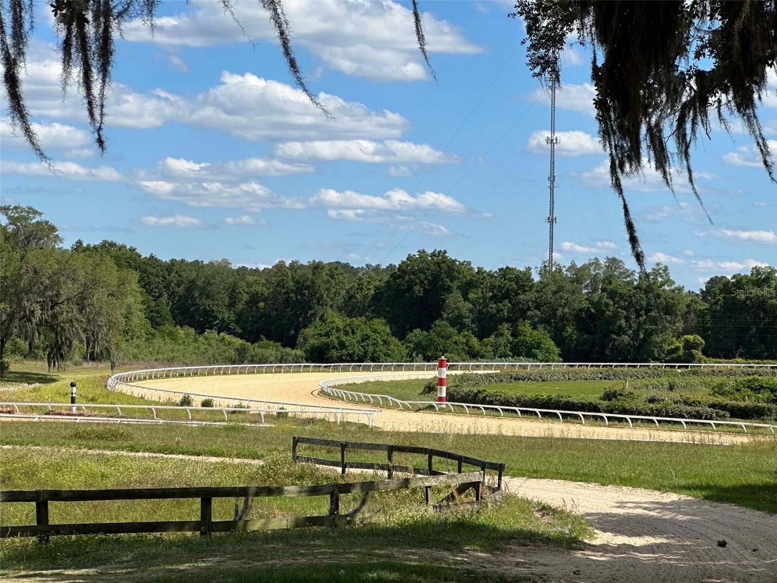 OM677279 Property Photo