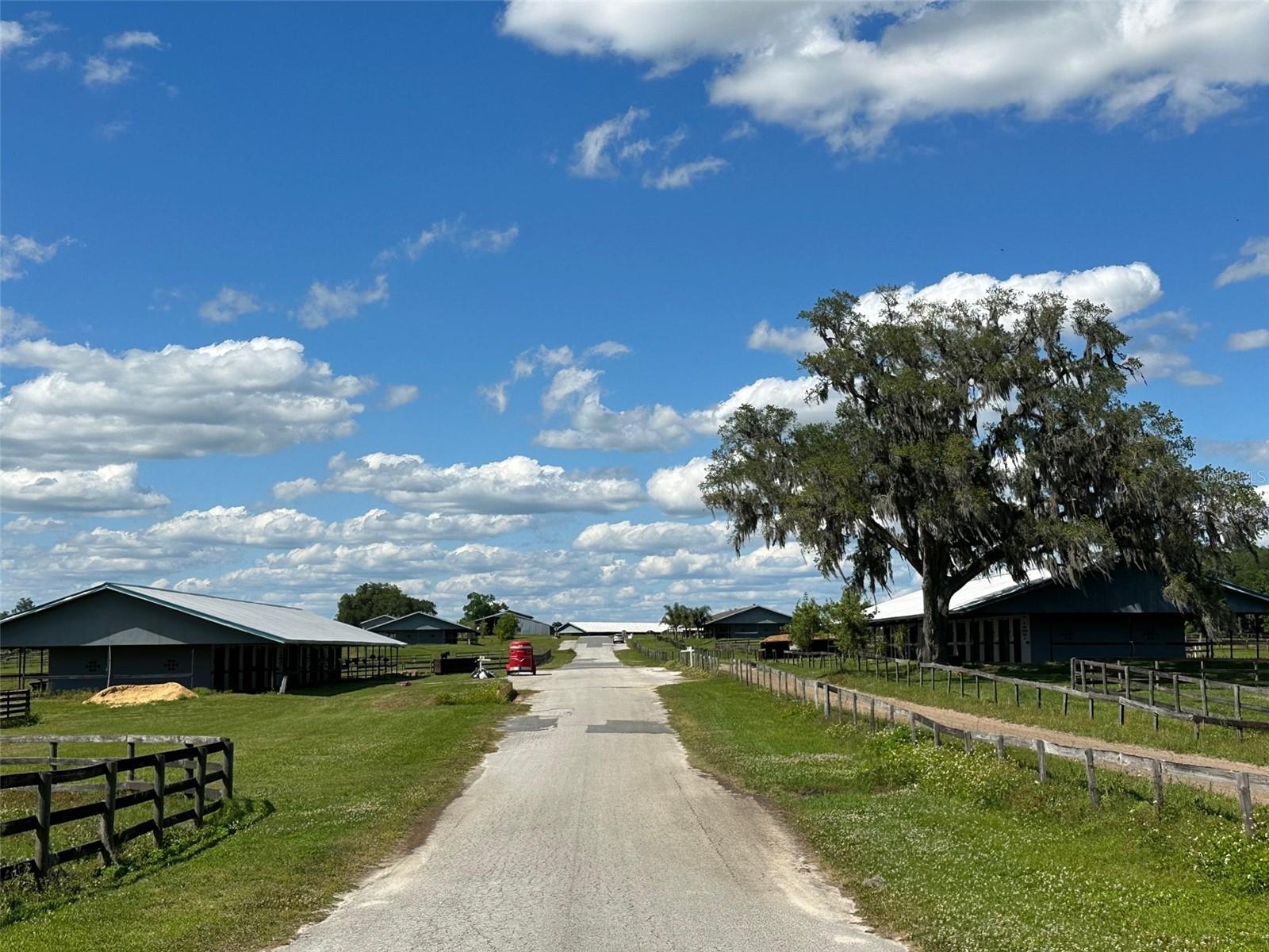 OM677279 Property Photo