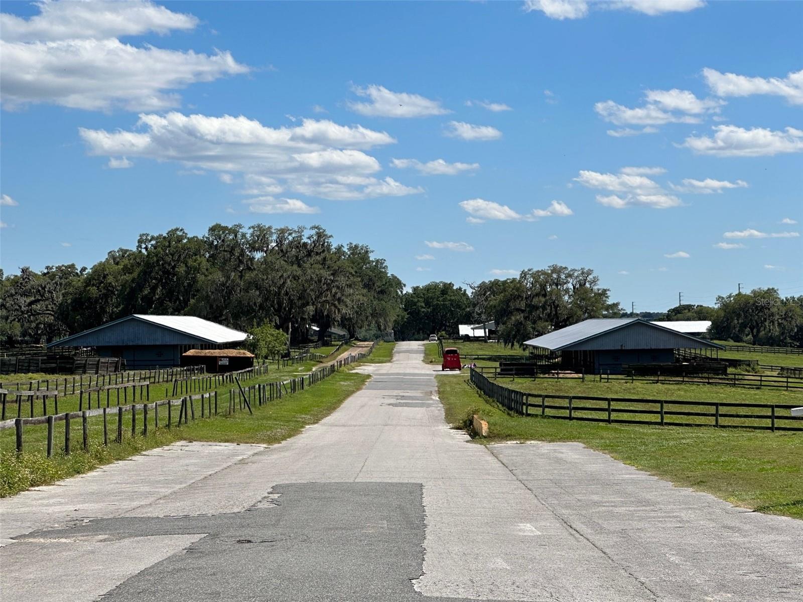 OM677279 Property Photo