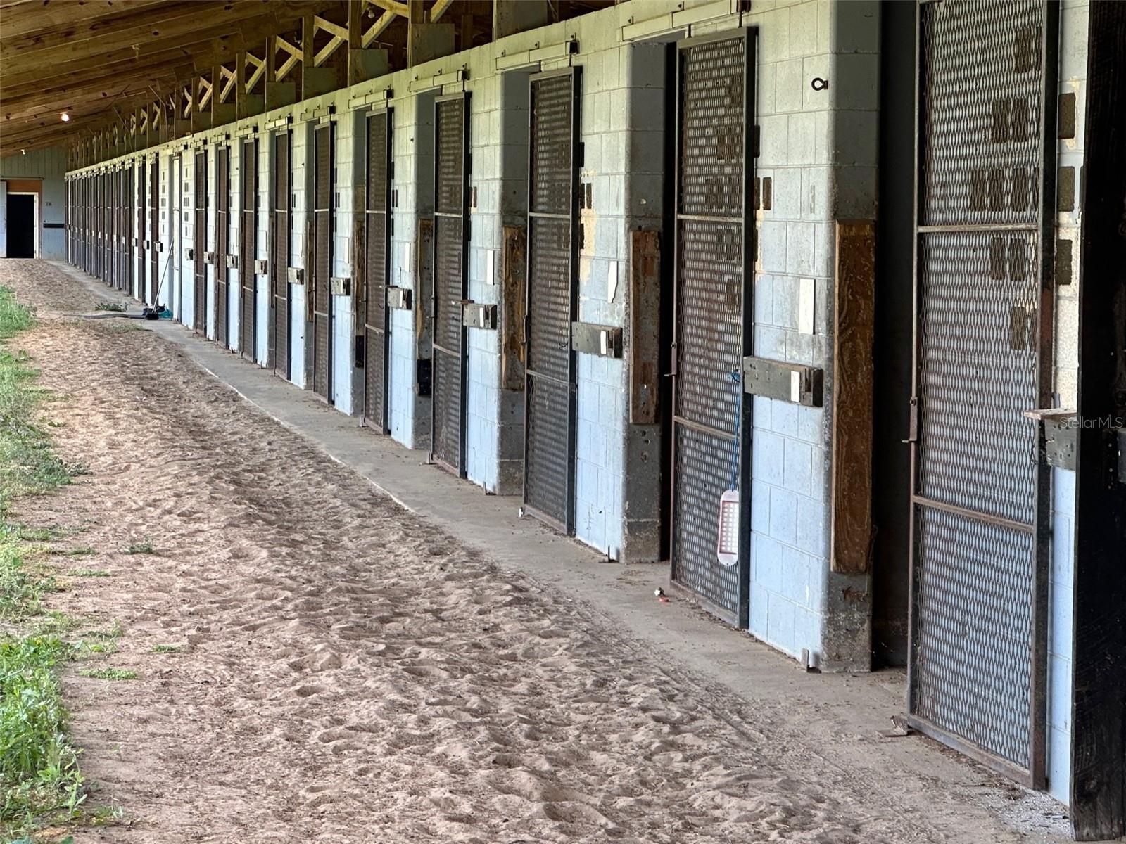 OM677279 Property Photo