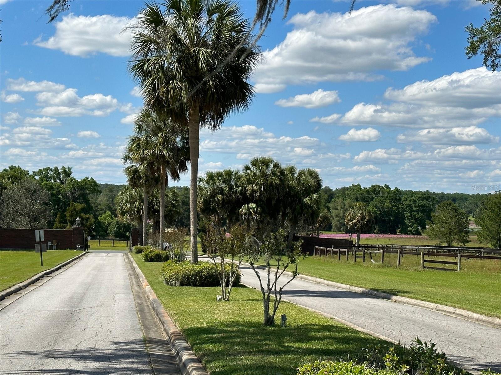 OM677279 Property Photo