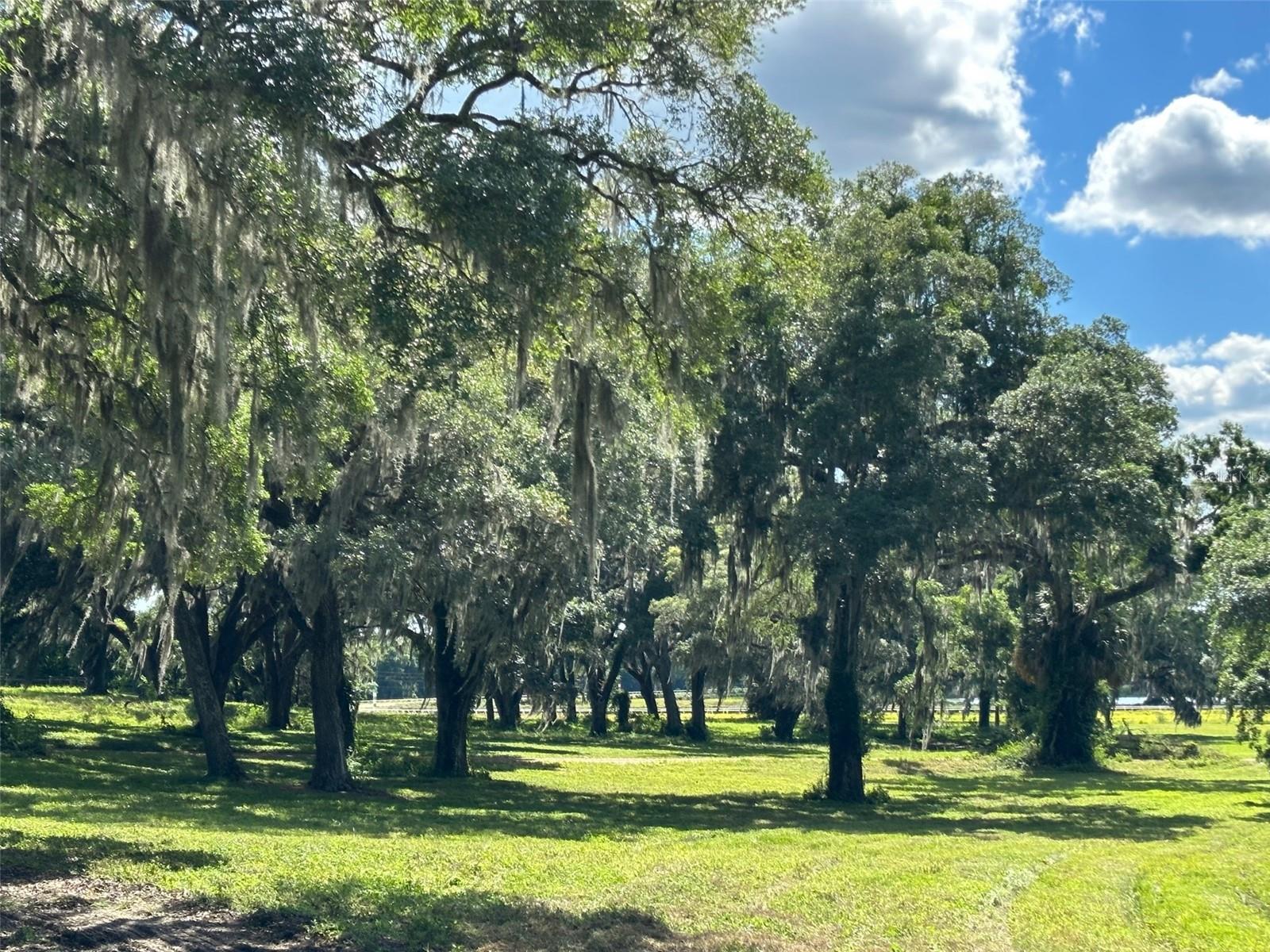 OM677279 Property Photo