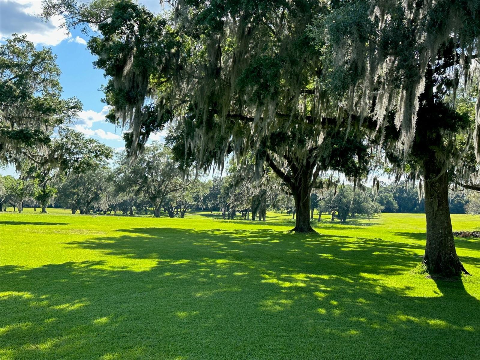 OM677279 Property Photo