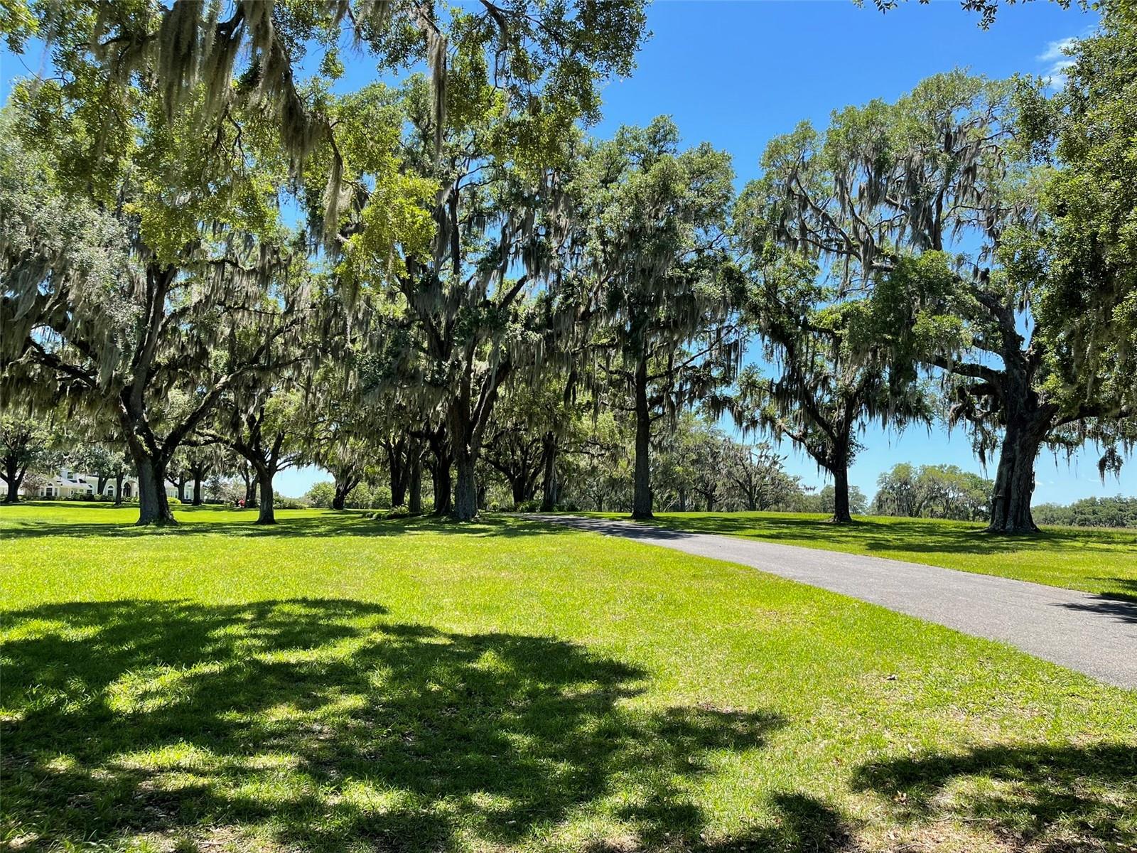 OM677279 Property Photo