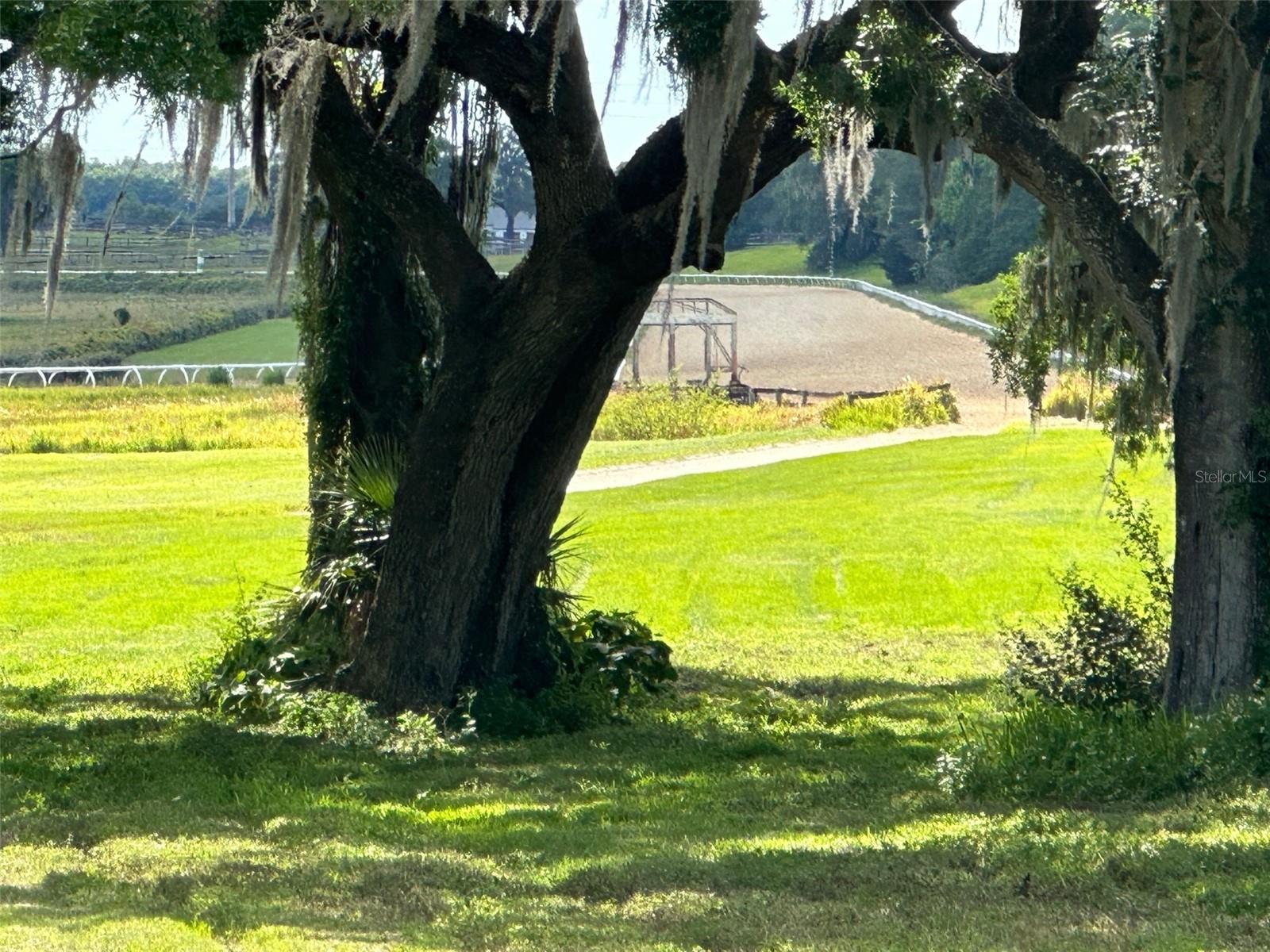 OM677279 Property Photo