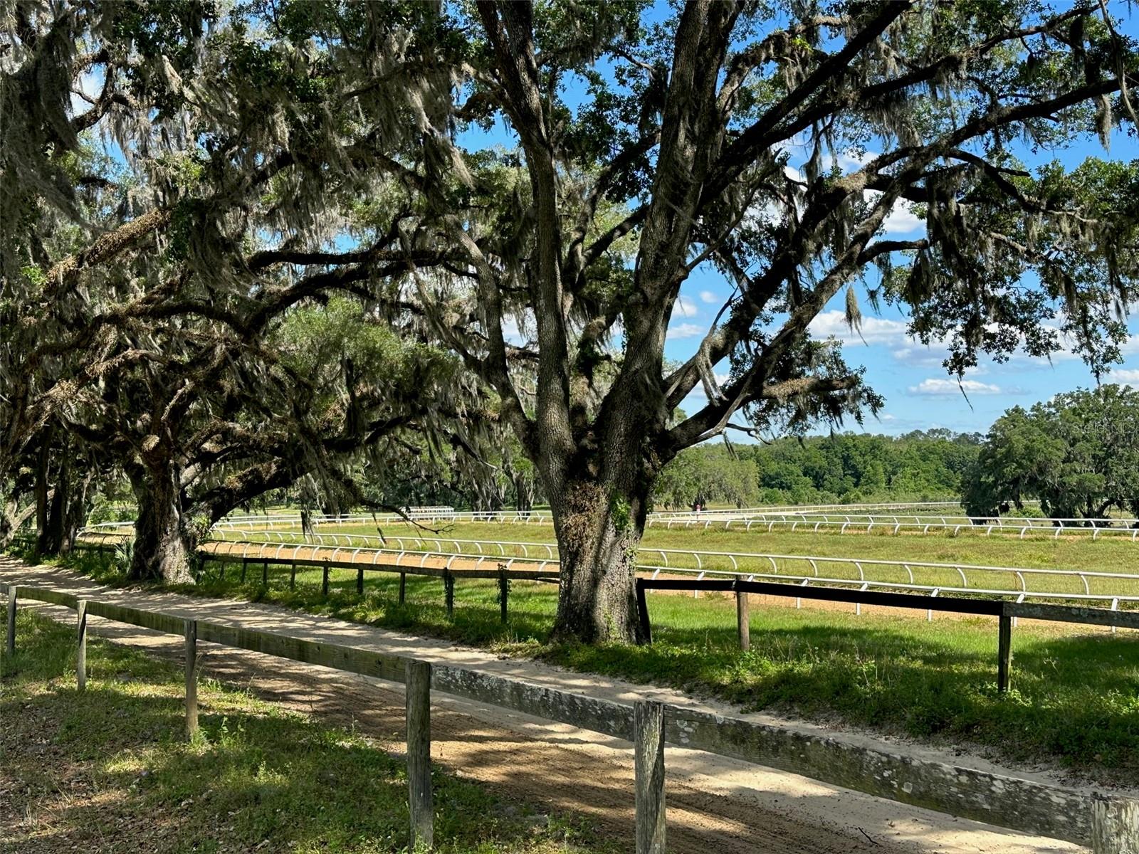 OM677279 Property Photo