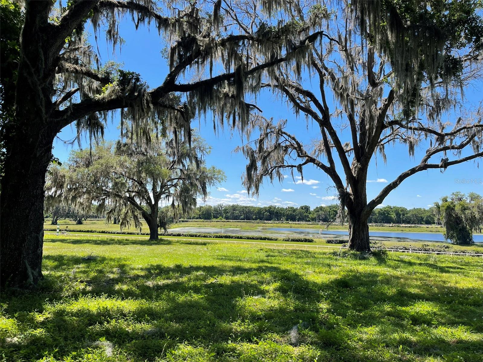 OM677279 Property Photo