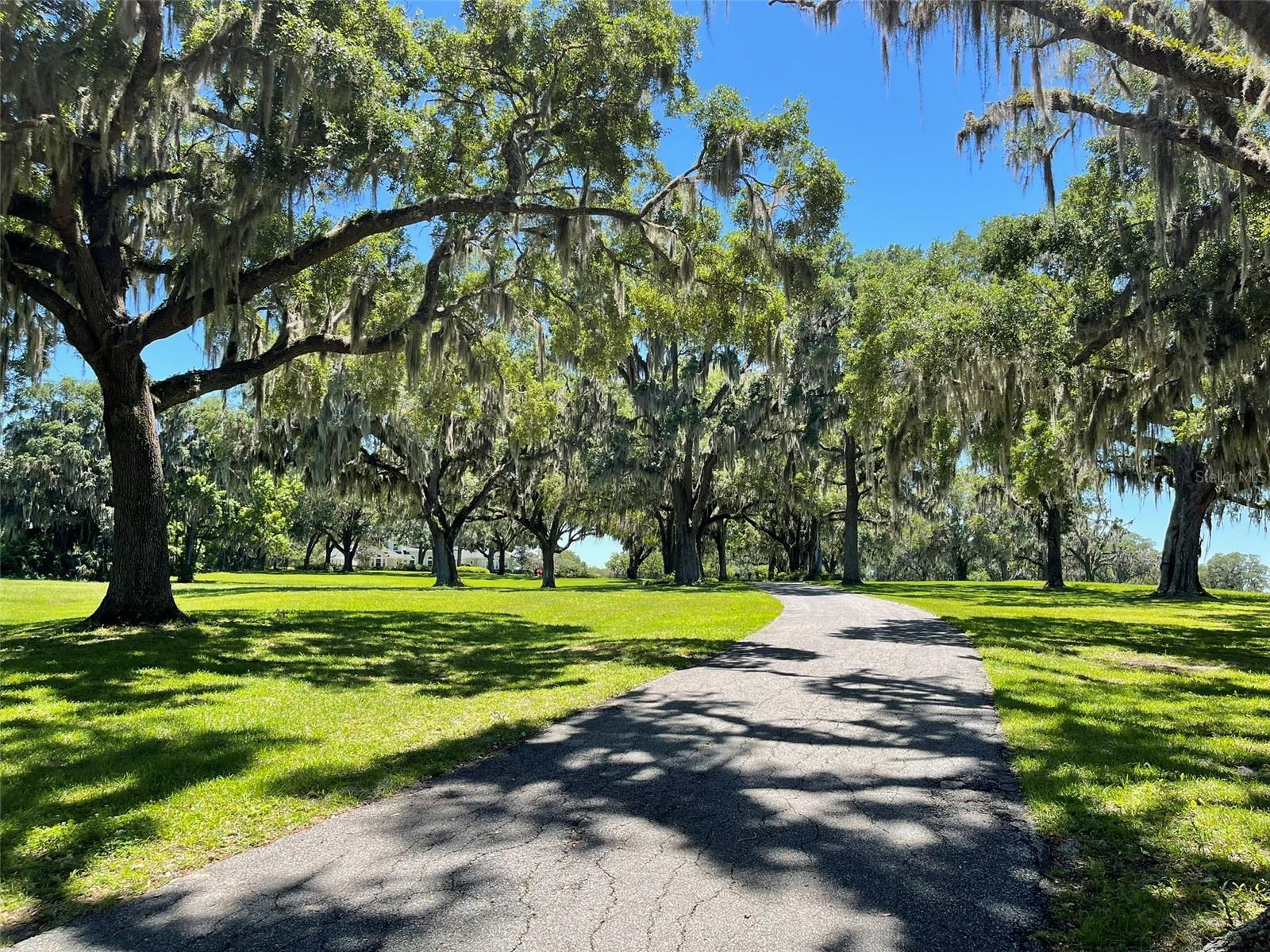 OM677279 Property Photo