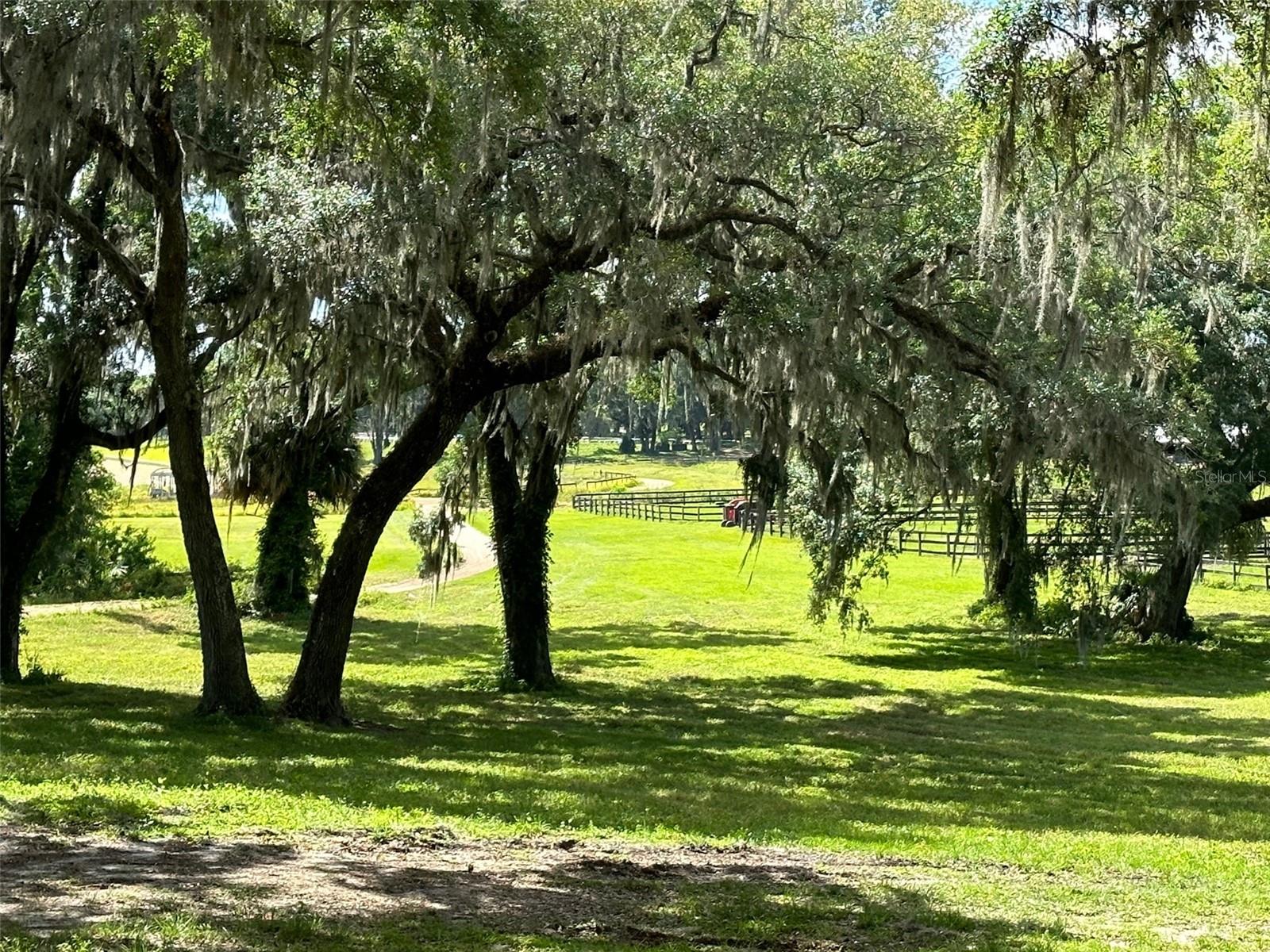 OM677279 Property Photo