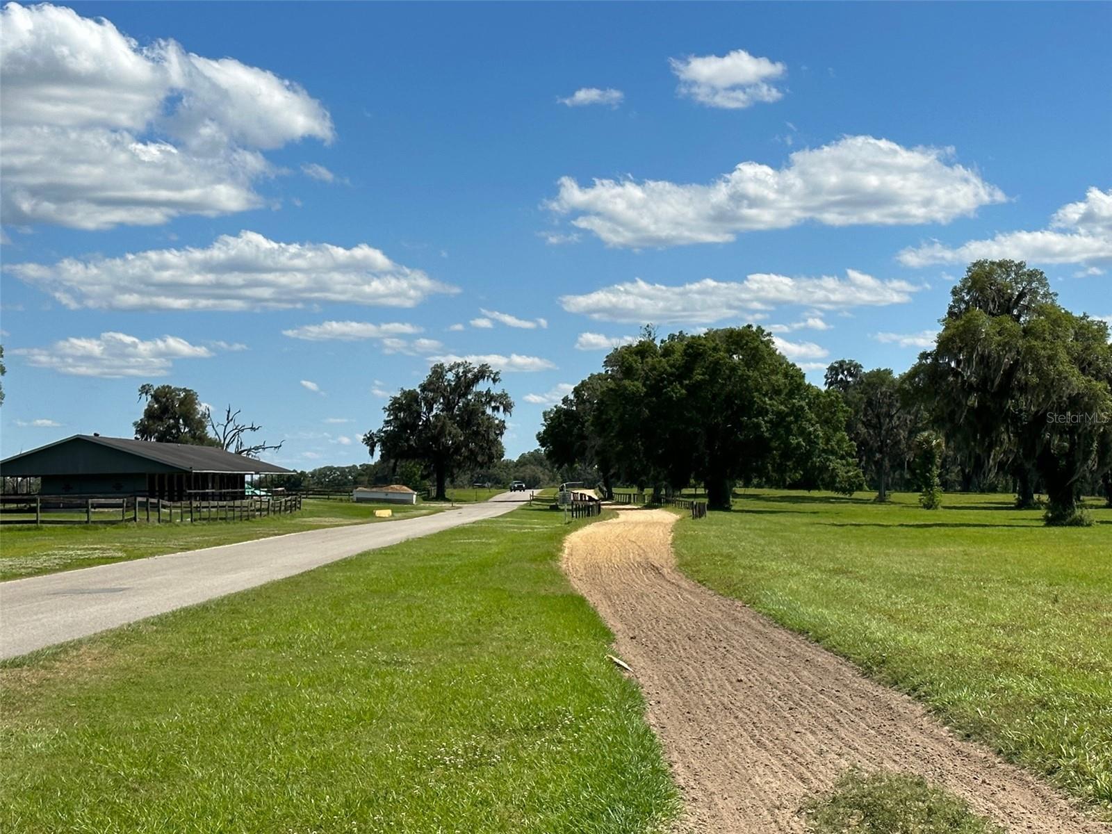 OM677279 Property Photo