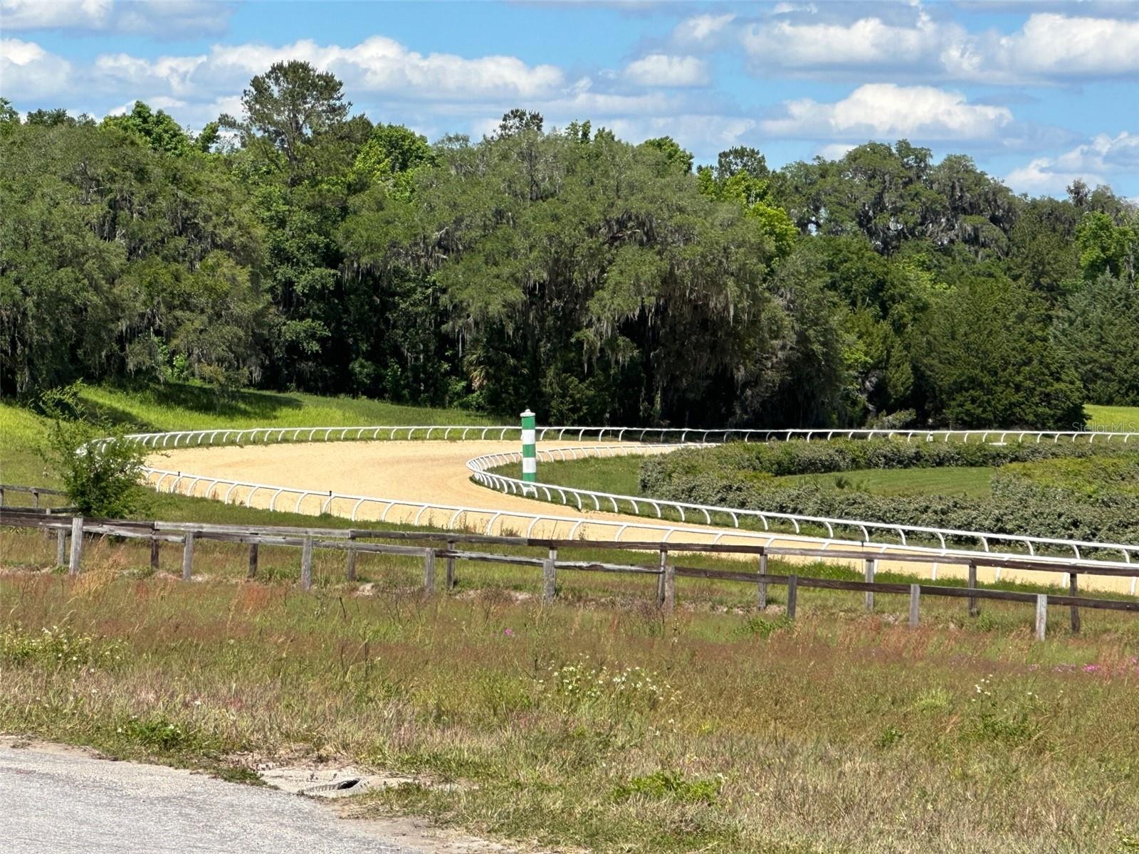 OM677279 Property Photo