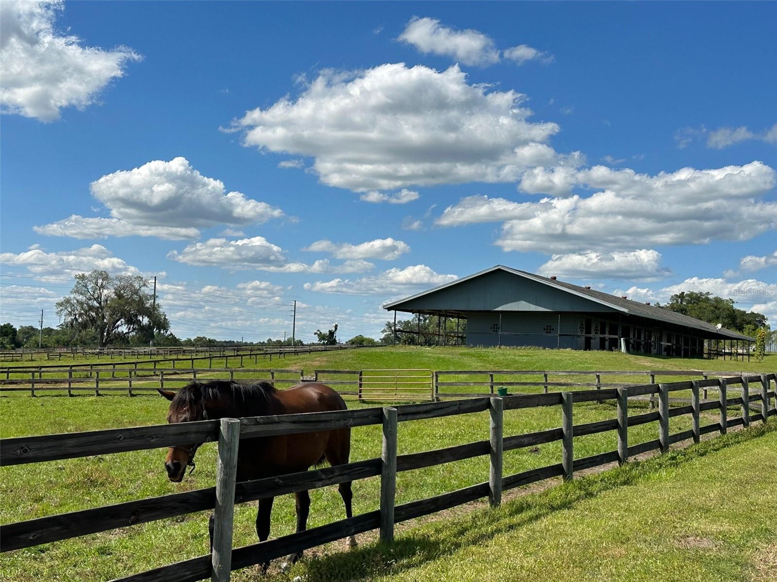 OM677279 Property Photo