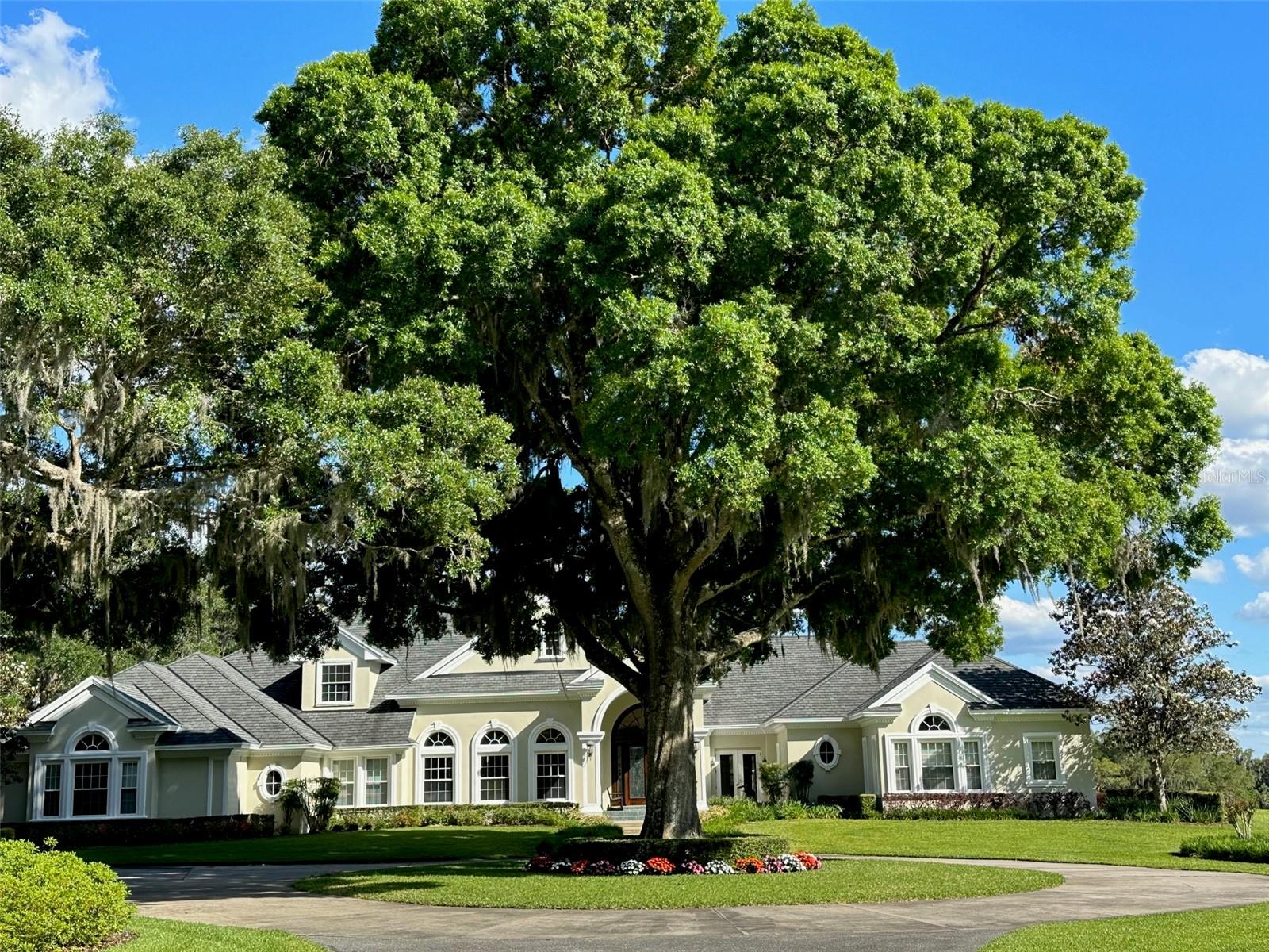 OM677279 Property Photo