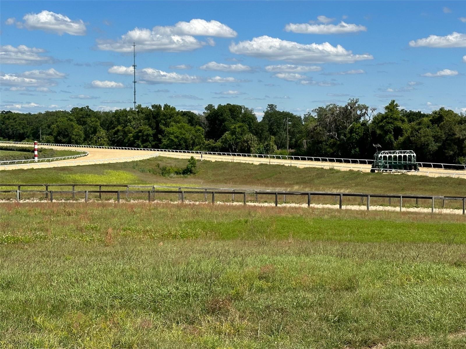 OM677279 Property Photo